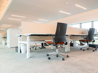 Willy Naessens Group