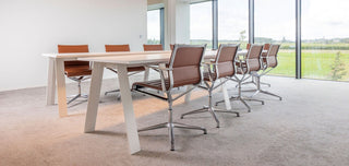 Willy Naessens Group