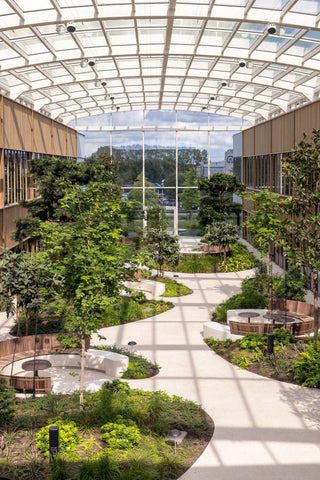 Willy Naessens Group