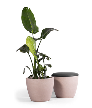 gummy_bear | GB D T2