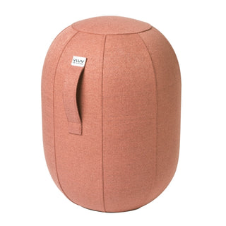 KAPSUL SOVA Balanscapsule M-Ergonomische extra's-E-Brands-Salmon-Buro International