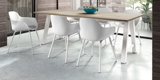 Horta stoel-Stoelen-PERFECTA N.V.-Buro International