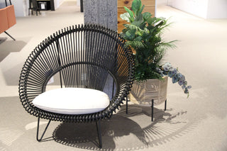 ROY Cocoon + free matching plant pot - Showroom model