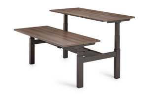 Flex 3+ Bench