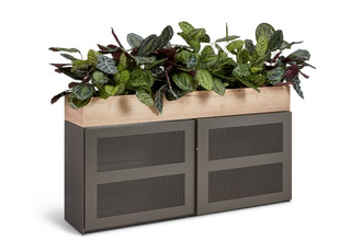 planter box