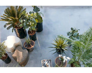 Artificial Plants - kunstplanten