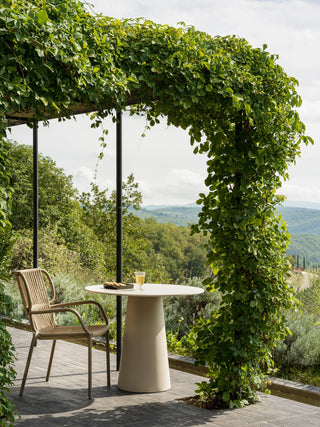 Ribbon dining armchair